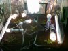 DSCF0067.jpg