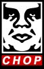Andre - CHOP 2.jpg