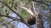 (1)20090513-225501.jpg