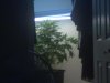 07052010244.jpg
