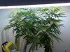 07092010273.jpg