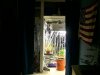 100_3236.jpg 100_3236.jpg