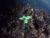 2011-01-11 18.43.22_Fresno_California_US.jpg