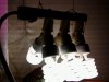 Light Setup.jpg Light Setup.jpg