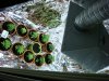 DSC00519.JPG