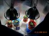DSCN0481.jpg