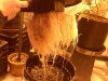 IMG00402-20101128-2232.jpg