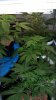 100_2551.jpg 100_2551.jpg