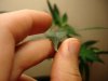 DSC05325.jpg