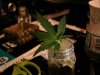 DSC05328.jpg