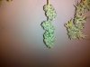 IMG_20110211_194058.jpg