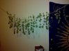 IMG_20110211_194039.jpg