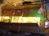DSC03801.jpg