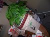 DSC03788.jpg