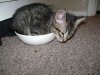 DSC03782.jpg