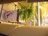 DSC03790.jpg