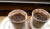 IMAG0146.jpg