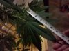 IMG_20110212_195723.jpg