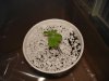 DSC05334.jpg