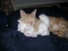 DSC04237.jpg