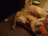 DSC04254.jpg