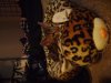 DSC04325.jpg