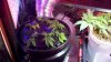 2011-02-13_21-17-19_876.jpg