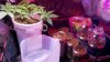 2011-02-13_21-18-16_350.jpg