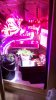 2011-02-13_21-18-27_714.jpg