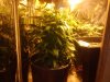 2011-02-12 15.17.42.jpg