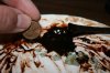 ammountofhash.jpg