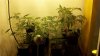 2011-02-15_16-26-49_100.jpg