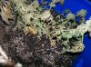 100_0701.jpg