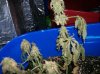 100_0709.jpg