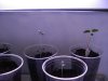 DSC01814.jpg