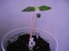 DSC01816.jpg