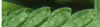 m3.png