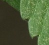 m2.png
