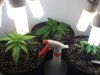 420 007.jpg