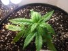 420 005.jpg