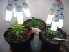 420 001.jpg