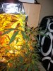 100_3403.jpg