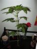 new pics 014.jpg