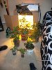 100_3417.jpg