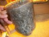 100_3411.jpg