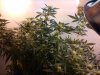 2011-02-21 22.34.43_Harrison_Michigan_US.jpg