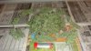 DSC03457.jpg