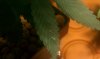 IMAG0597.jpg
