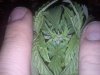 20110224004617.jpg 20110224004617.jpg