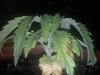 20110224004657.jpg 20110224004657.jpg